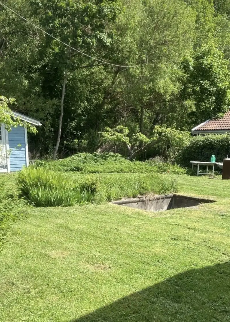 Gräsmatta efter klippning